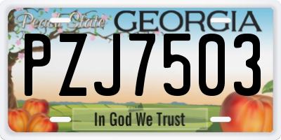 GA license plate PZJ7503