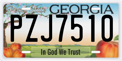 GA license plate PZJ7510