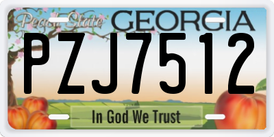 GA license plate PZJ7512