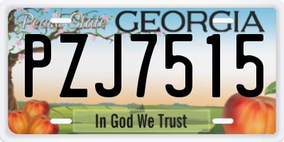 GA license plate PZJ7515