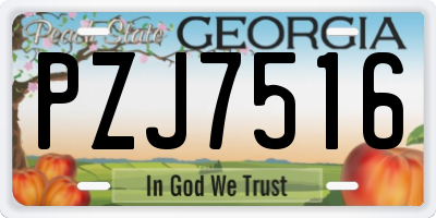 GA license plate PZJ7516