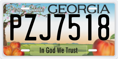 GA license plate PZJ7518