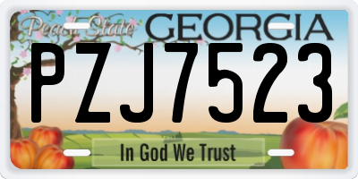 GA license plate PZJ7523