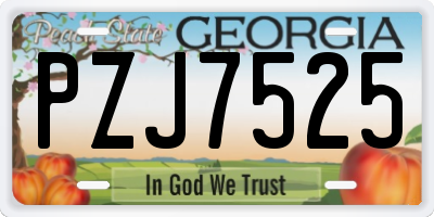 GA license plate PZJ7525
