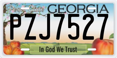 GA license plate PZJ7527