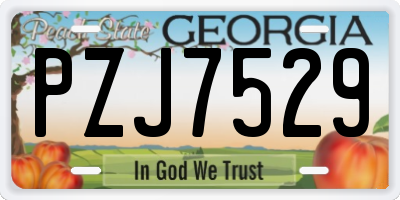 GA license plate PZJ7529