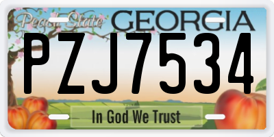 GA license plate PZJ7534
