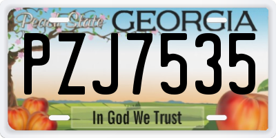 GA license plate PZJ7535