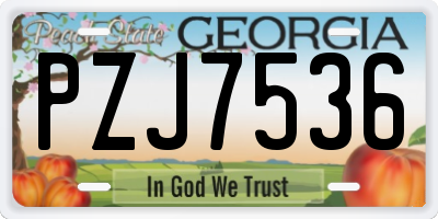 GA license plate PZJ7536