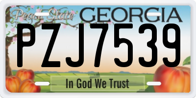 GA license plate PZJ7539