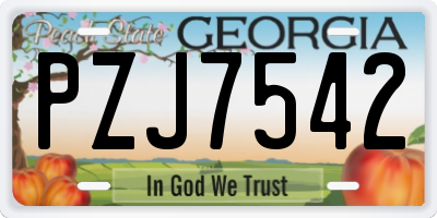 GA license plate PZJ7542