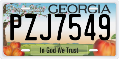 GA license plate PZJ7549