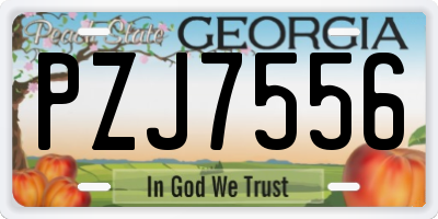 GA license plate PZJ7556