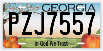 GA license plate PZJ7557