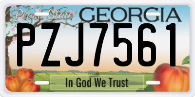 GA license plate PZJ7561