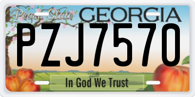 GA license plate PZJ7570