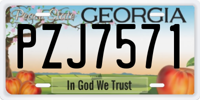 GA license plate PZJ7571