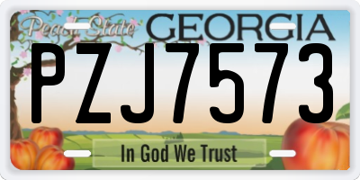 GA license plate PZJ7573