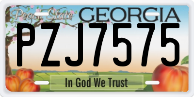 GA license plate PZJ7575
