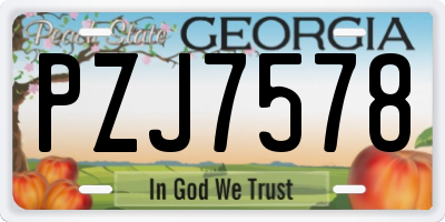 GA license plate PZJ7578