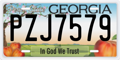 GA license plate PZJ7579
