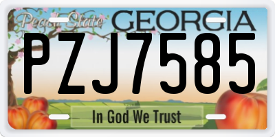 GA license plate PZJ7585