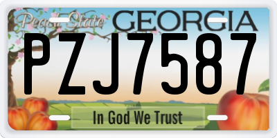 GA license plate PZJ7587
