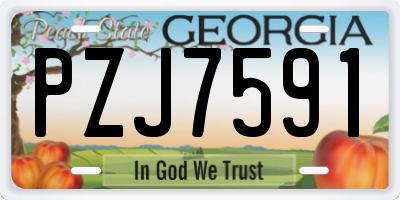 GA license plate PZJ7591