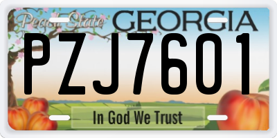 GA license plate PZJ7601