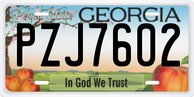 GA license plate PZJ7602