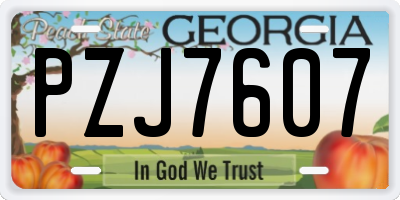 GA license plate PZJ7607