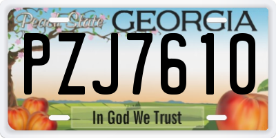 GA license plate PZJ7610