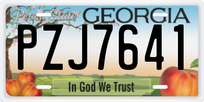 GA license plate PZJ7641
