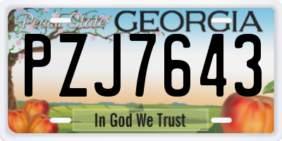 GA license plate PZJ7643
