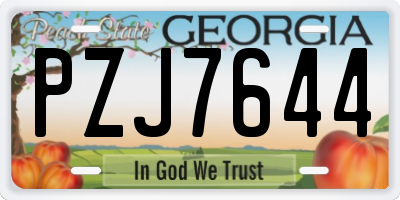 GA license plate PZJ7644