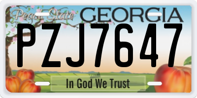 GA license plate PZJ7647