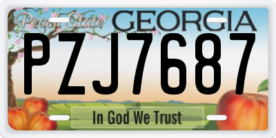 GA license plate PZJ7687
