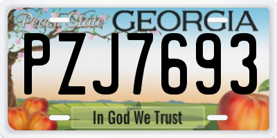 GA license plate PZJ7693