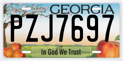 GA license plate PZJ7697