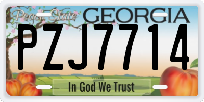GA license plate PZJ7714