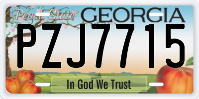 GA license plate PZJ7715