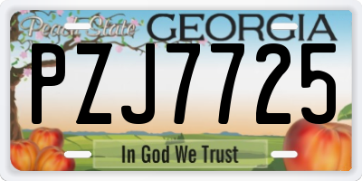 GA license plate PZJ7725