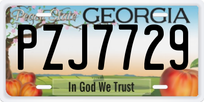 GA license plate PZJ7729