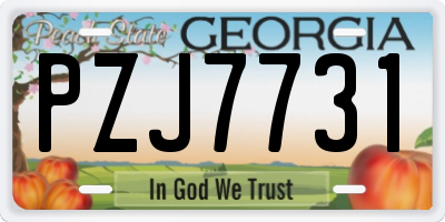 GA license plate PZJ7731