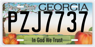 GA license plate PZJ7737