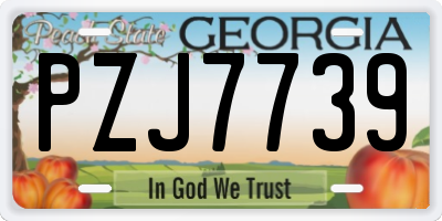 GA license plate PZJ7739