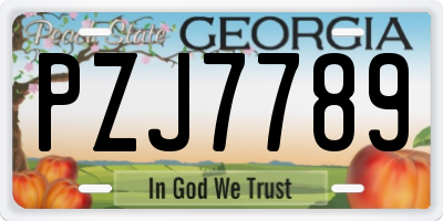 GA license plate PZJ7789