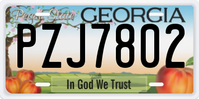 GA license plate PZJ7802