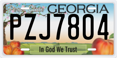 GA license plate PZJ7804
