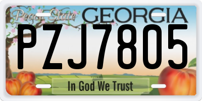 GA license plate PZJ7805